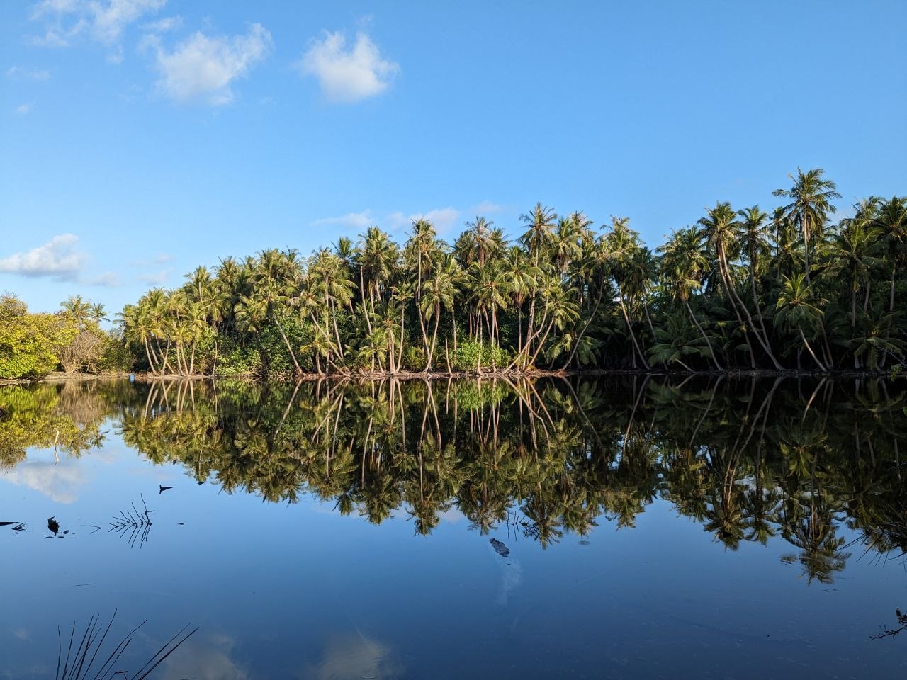Baa Goidhoo Island in Horsburgh Atoll, Maldives